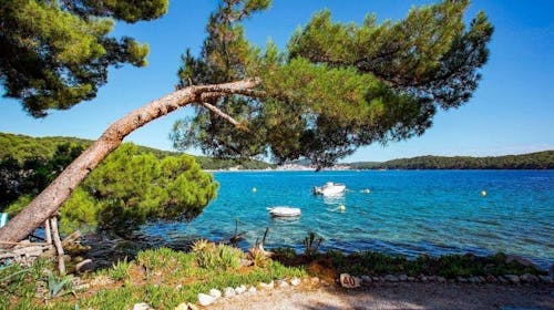 Camping Village Poljana - Lux-Glamptent - Last minute odmor na Malom Lošinju, Mali Lošinj, Hrvatska - 906 EUR - 7x noćenje u Adria Glamping Tent za do 6 osoba (4 odrasle osobe i 2 djece do 11,99 godina), Korištenje struje, plina i vode